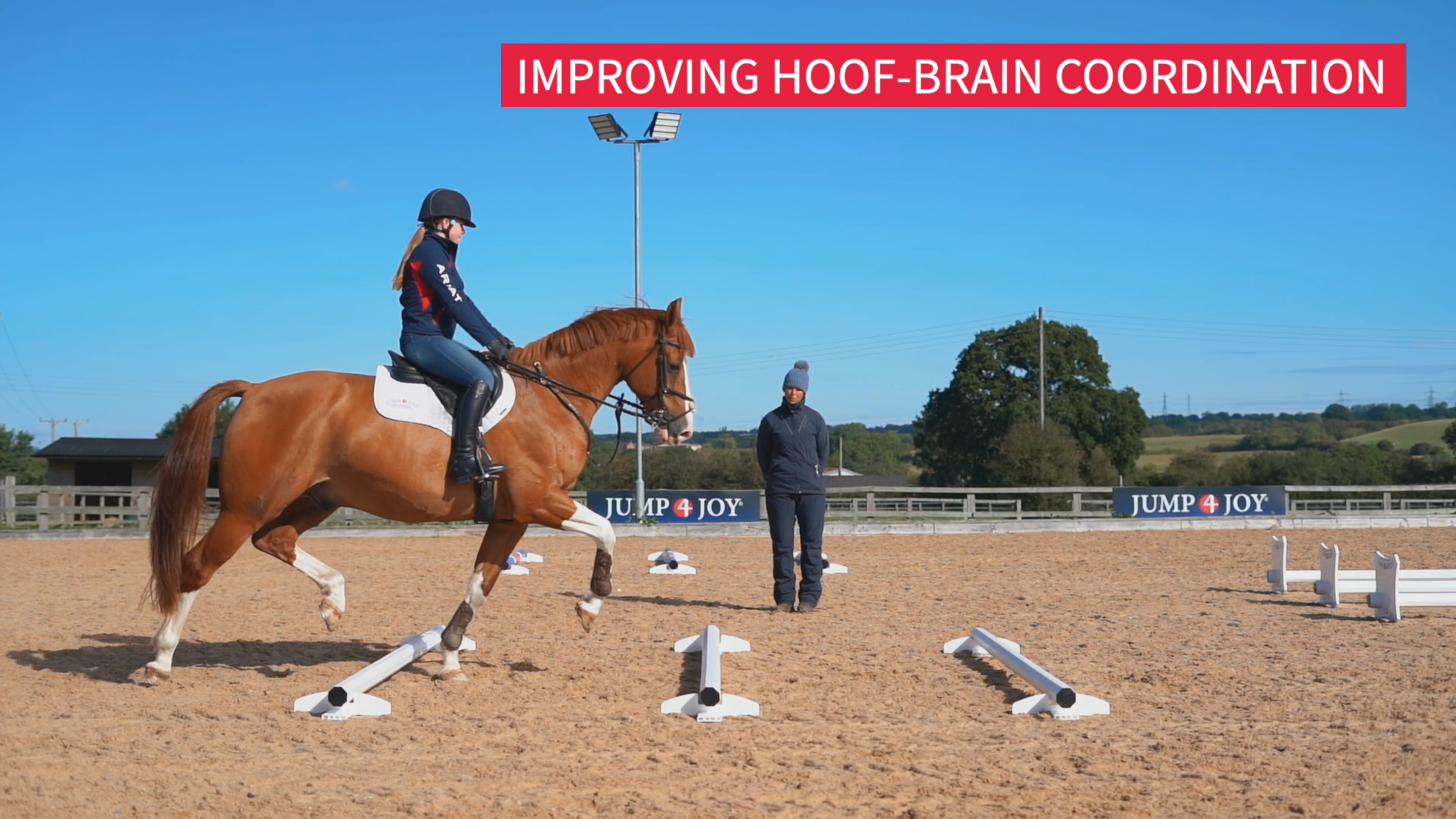 Improving Hoof-Brain Coordination